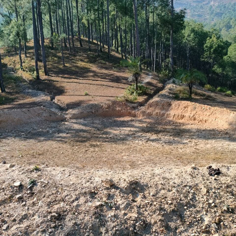 project